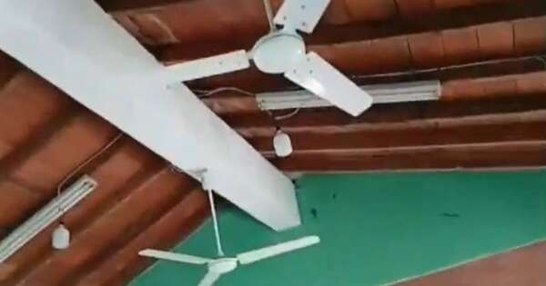 La Nación / Piden ayuda para controlar invasión de murciélagos en escuela de Itapúa