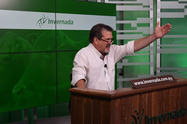 Invernada remata más de 1.200 vacunos en feria de la Regional Tte. Esteban Martínez, hoy miércoles