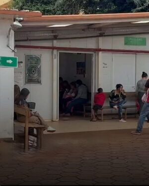 Fatal incidente: un bebé pierde la vida tras ser atacado por un gallo