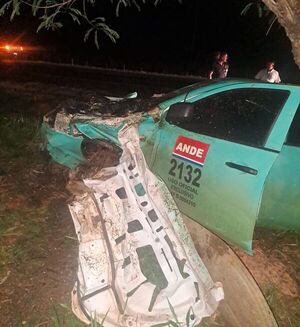 Vehículo de la ANDE sufre daños tras impactar con un caballo suelto - Concepción al Día