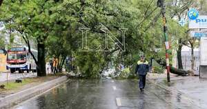 Diario HOY | Temporal en Asunción: habilitan línea para reportar árboles caídos