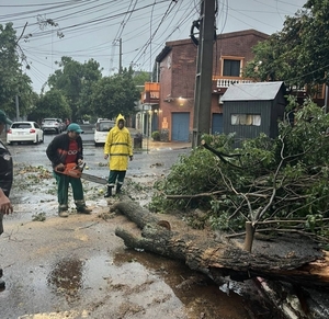Caída de árboles genera bloqueos y complicaciones en Asunción