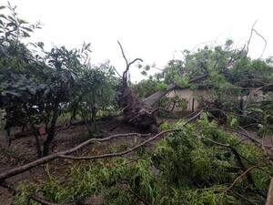 Al menos 30 viviendas destechadas durante temporal en Humaitá - trece