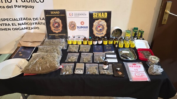 Senad desmantela foco de marihuana con kentamina sin hallar a su objetivo, una yogui