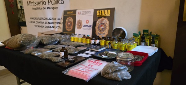 “Yoga de día, drogas de noche”: desarticulan red que mezclaba marihuana y ketamina - ADN Digital