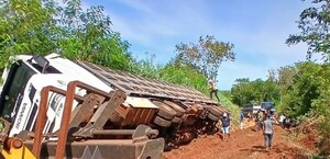 Camión que transportaba cerdos volcó y dejó más de 100 animales muertos