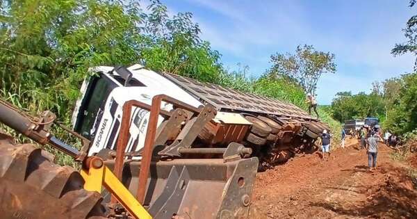 Diario HOY | Más de 100 cerdos fallecen tras vuelco de camión en Alto Verá