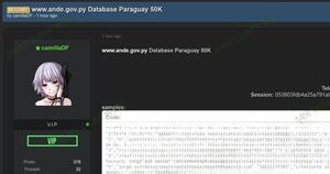 Diario HOY | Hackers vuelven al ataque: reportan nueva filtración de datos de la ANDE