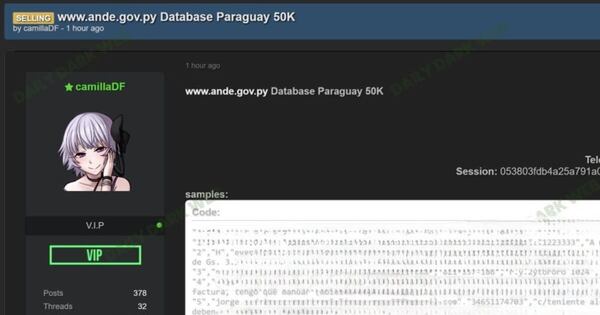 Diario HOY | Hackers vuelven al ataque: reportan nueva filtración de datos de la ANDE