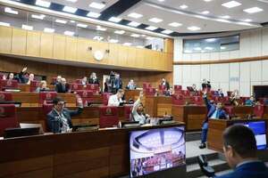 Jubilación VIP: Senado mantiene privilegios y posterga su ley de  “parches” por otra semana  - Política - ABC Color