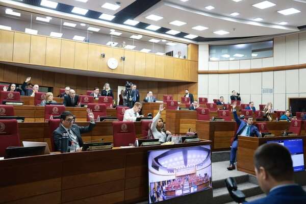 Jubilación VIP: Senado mantiene privilegios y posterga su ley de  “parches” por otra semana  - Política - ABC Color