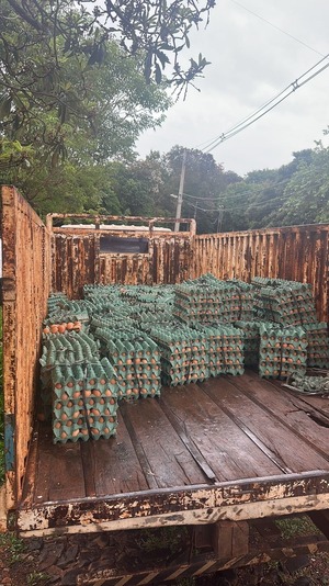 Incautan camión con carga de huevos presumiblemente de contrabando en Presidente Franco