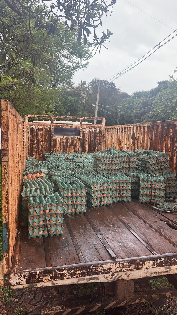 Incautan camión con carga de huevos presumiblemente de contrabando en Presidente Franco