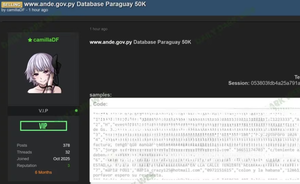 Hackers vuelven al ataque: reportan nueva filtración de datos de la ANDE