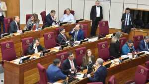 Jubilación vip: Senadores aprueban en general y dilatan estudio de artículos para próxima sesión