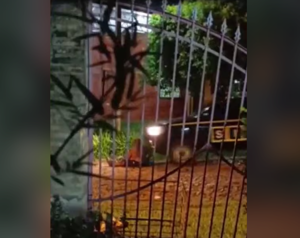 Hombre fue atropellado por una camioneta y el conductor denunció intento de robo | Unicanal