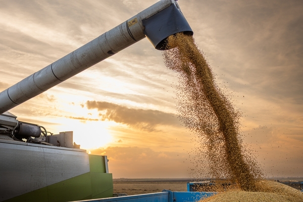 El complejo sojero impulsa un fuerte ingreso de divisas en el primer trimestre de 2026 - 5Días