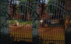 No le vio a karai sentado cállepe y ¡casi lo aplasta!