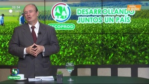 Video: Camino al Desarrollo | Impacto global, mirada local