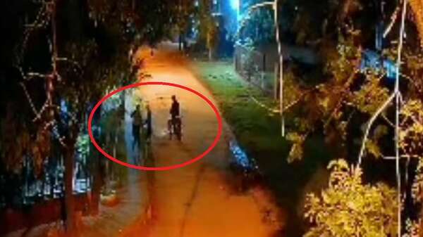 Video: motochorros asaltan a mujer cuando llegaba a su casa en Luque - Policiales - ABC Color