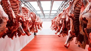 Paraguay logra acuerdo con la Unión Europea sobre cuota Hilton tras dos décadas de negociaciones