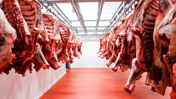 Paraguay logra acuerdo con la Unión Europea sobre cuota Hilton tras dos décadas de negociaciones