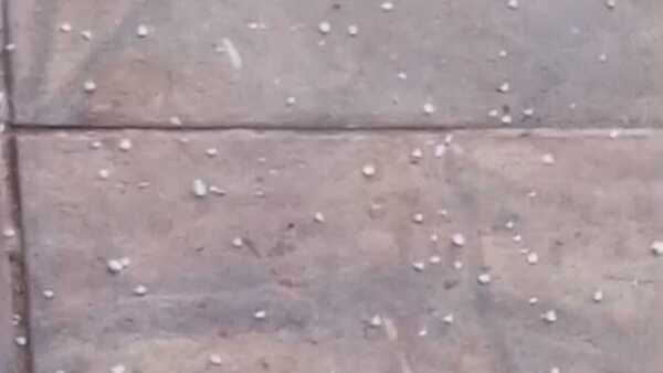 Acusan a vecina de tirar gualichos frente a una casa: "Amaneció un zapato lleno de sal", denuncian