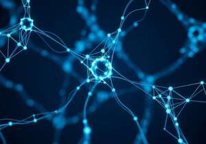 Innovación en biocompatibilidad: neuronas artificiales se comunican con células vivas - Ciencia - ABC Color