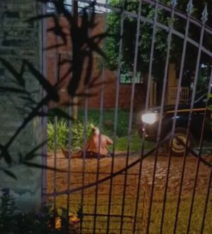 Popular / Rajaron de su laburo al chofer que arrolló a un karai y huyó