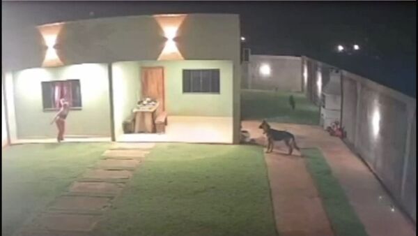 Popular / Pilló a malevos en su patio y se escapó por la ventana