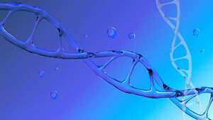 El ADN antiguo revela que la evolución humana se aceleró recientemente - Ciencia - ABC Color