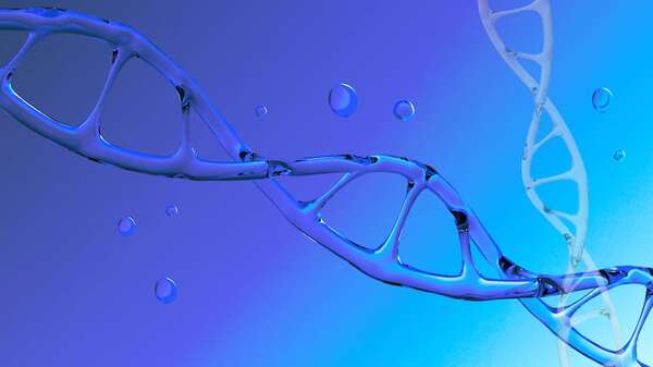 El ADN antiguo revela que la evolución humana se aceleró recientemente - Ciencia - ABC Color