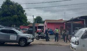 Denunciaron que no ayudaron a gatitos que fueron destrozados por perros callejeros