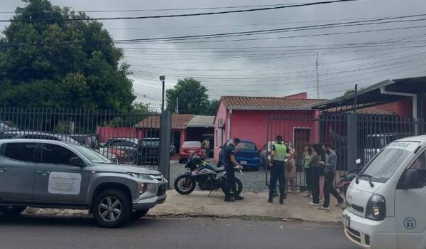 Denunciaron que no ayudaron a gatitos que fueron destrozados por perros callejeros