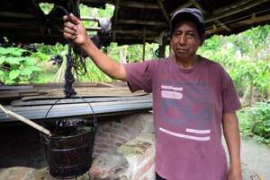 Fracking en México: la explotación de gas y petróleo que inquieta a comunidades rurales - Ciencia - ABC Color