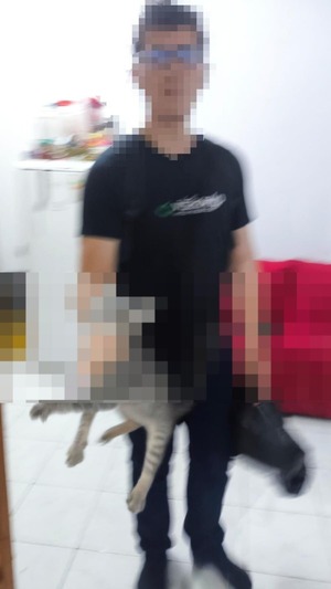 Mujer denuncia a su expareja por violencia doméstica y crueldad animal - ADN Digital