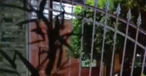 La Nación / Limpio: guardia que arrolló y abandonó a una persona fue desvinculado