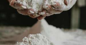 La Nación / MAG capacita a productores para llevar harinas orgánicas sin gluten a mercados internacionales