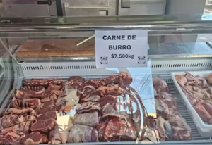 Argentina impulsa un plan piloto para producir carne de burro