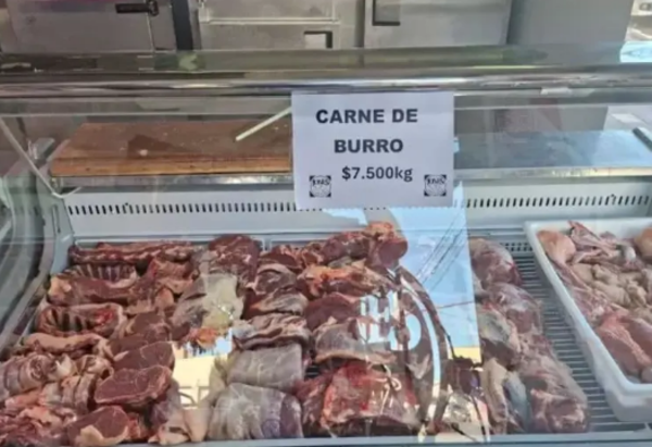 Argentina impulsa un plan piloto para producir carne de burro