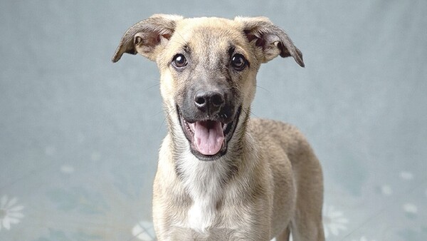 Rechazada por traviesa busca amor de verdad