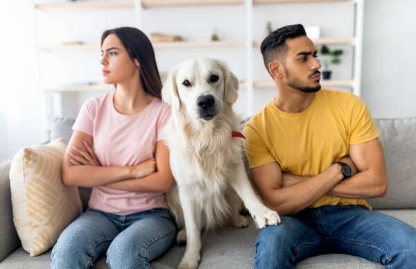 Brasil reconoce a las mascotas como bien compartido en casos de divorcio - Mascotas - ABC Color