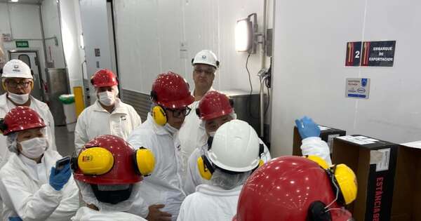 La Nación / Delegación de Singapur evalúa frigoríficos paraguayos tras apertura de mercado