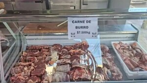 Nuevo asado argentino que es barato: carne de burro