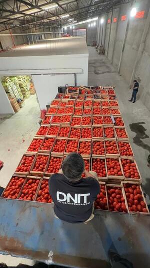 Incautan gran cantidad de productos frutihortícolas sin documentación en Fernando de la Mora