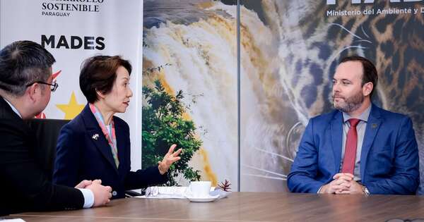 La Nación / Paraguay se posiciona como socio estratégico en el mercado de carbono