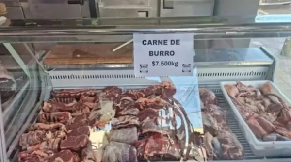 Carne de burro en Argentina: plan piloto busca alternativa más barata