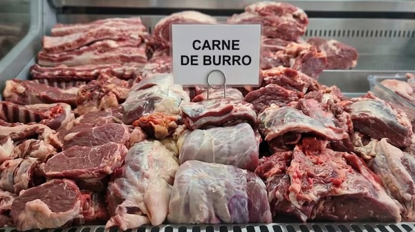 Polémica en la parrilla: venden carne de burro como alternativa al asado y genera furor y rechazo - Concepción al Día