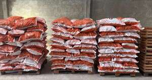 La Nación / Control derivó en la incautación de  miles de kilos de productos frutihortícolas