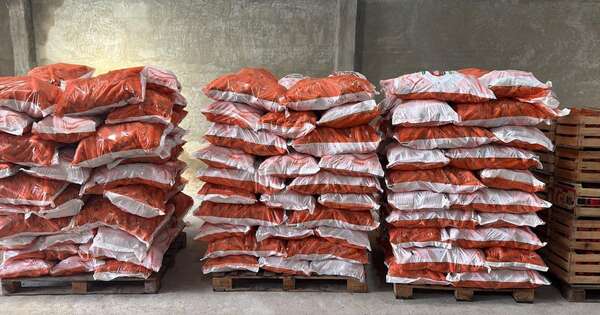 La Nación / Control derivó en la incautación de  miles de kilos de productos frutihortícolas